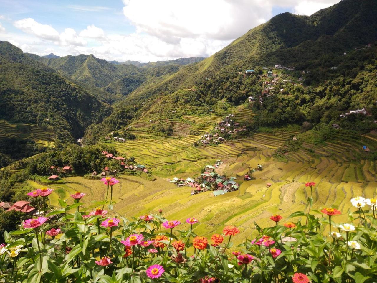 Batad View Inn And Restaurant Банауе Екстер'єр фото